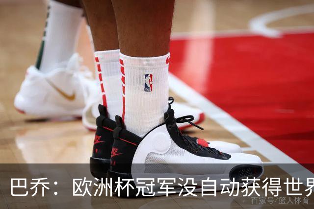 巴乔：欧洲杯冠军没自动获得世界杯资格 这是耻辱